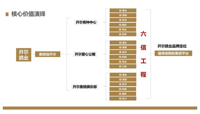 開爾鴿業(yè)品牌全案服務(wù)