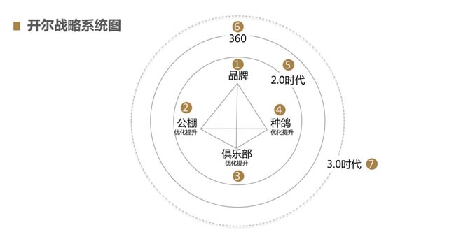 開爾鴿業(yè)品牌全案服務(wù)