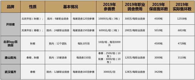 開爾鴿業(yè)品牌全案服務(wù)