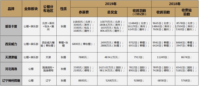 開爾鴿業(yè)品牌全案服務(wù)