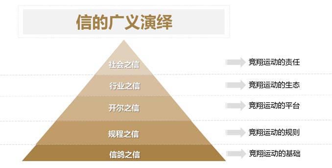 開爾鴿業(yè)品牌全案服務(wù)