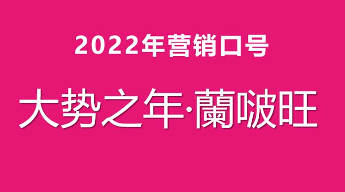 歐賽斯超級品牌引擎® 新冠軍商業(yè)實戰(zhàn)案例：蘭啵旺