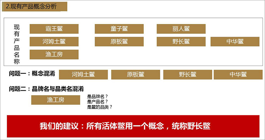 2.現(xiàn)有產(chǎn)品概念分析