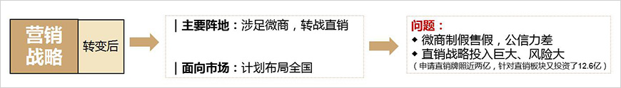 華信生物藥業(yè)營銷模式研究（轉變后）